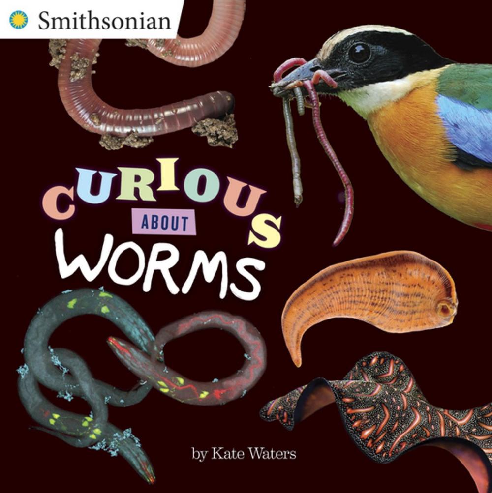 Big bigCover of Curious About Worms