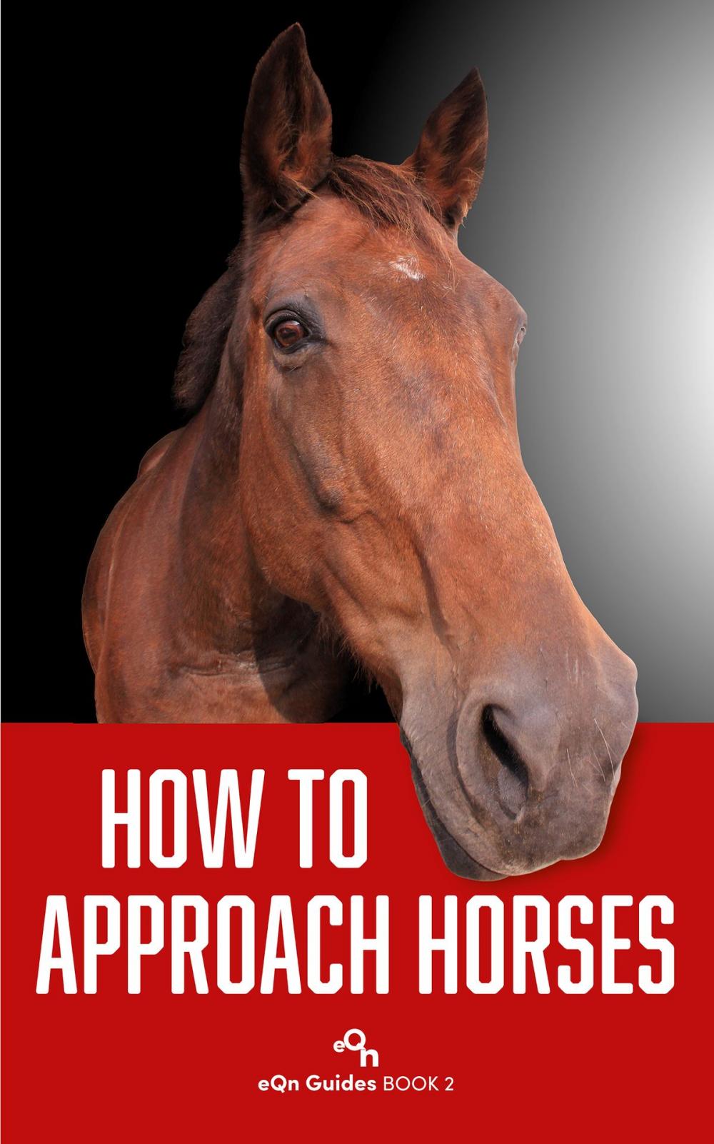 Big bigCover of How to Approach Horses