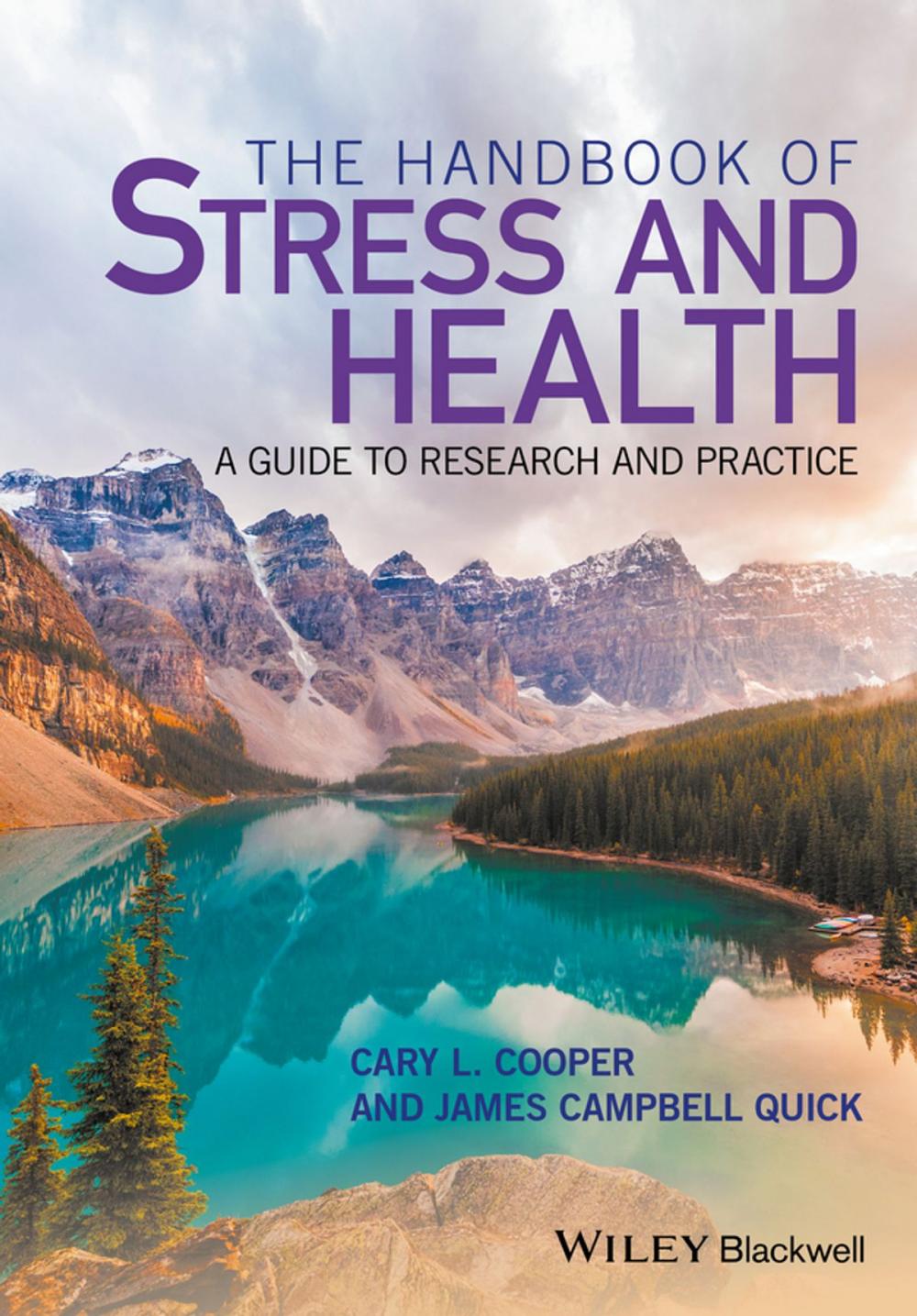 Big bigCover of The Handbook of Stress and Health