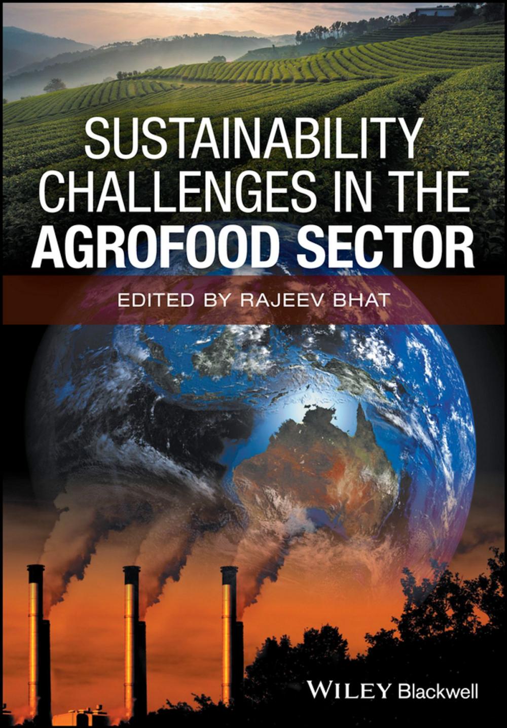 Big bigCover of Sustainability Challenges in the Agrofood Sector