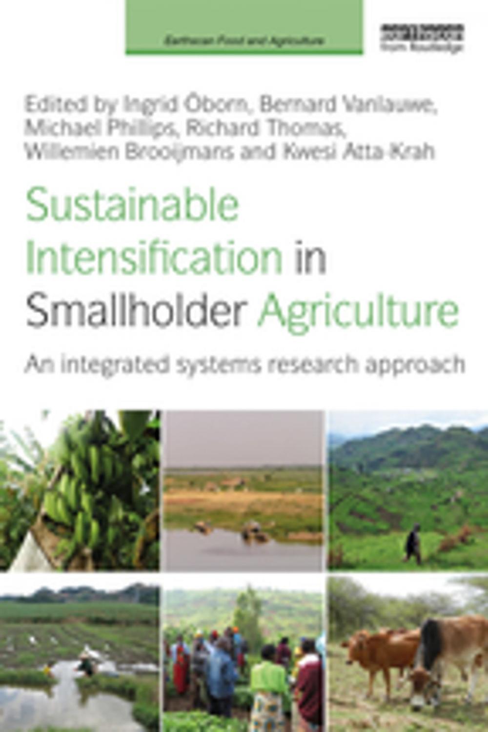 Big bigCover of Sustainable Intensification in Smallholder Agriculture