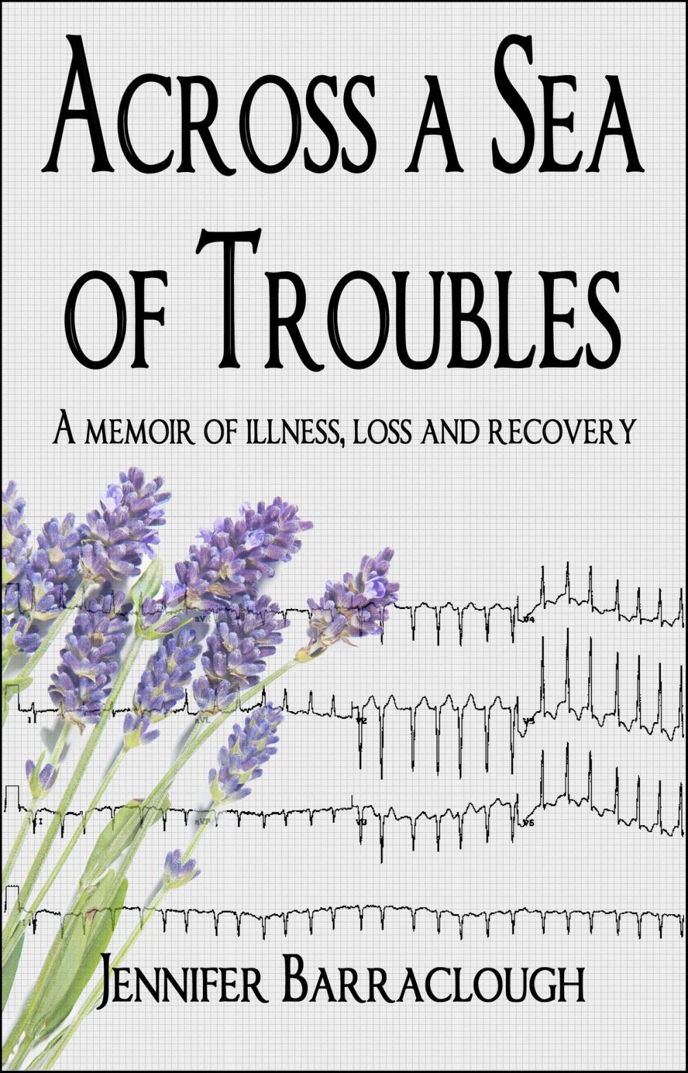 Big bigCover of Across a Sea of Troubles: A memoir of illness, loss and recovery