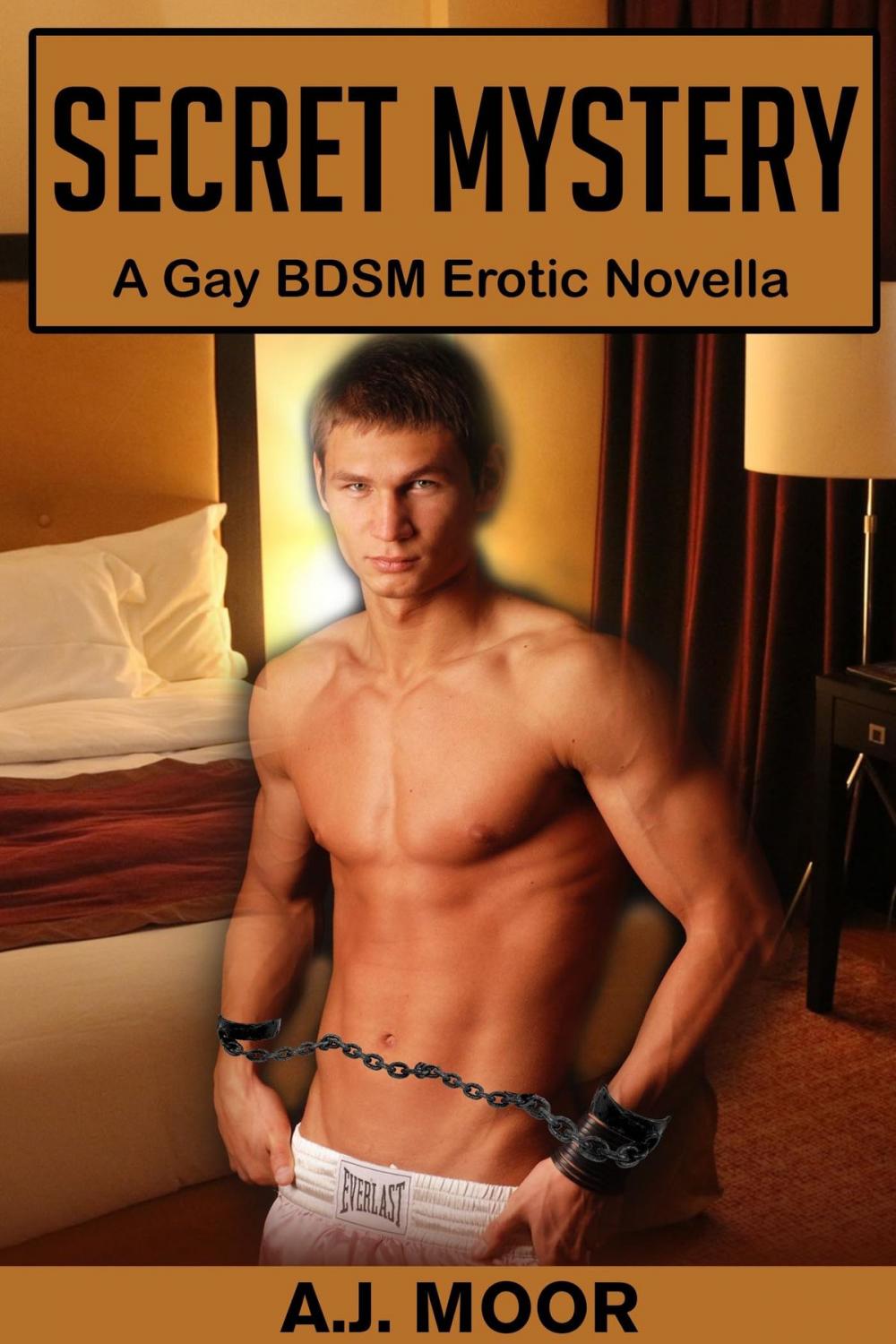Big bigCover of Secret Mystery: A Gay Bondage Erotic Novella