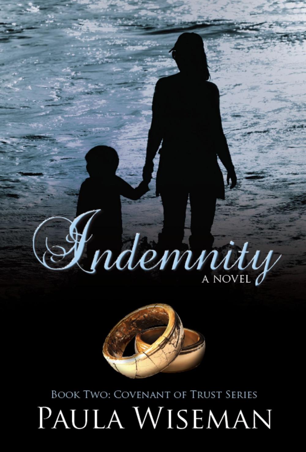 Big bigCover of Indemnity: Covenant of Trust Book Two