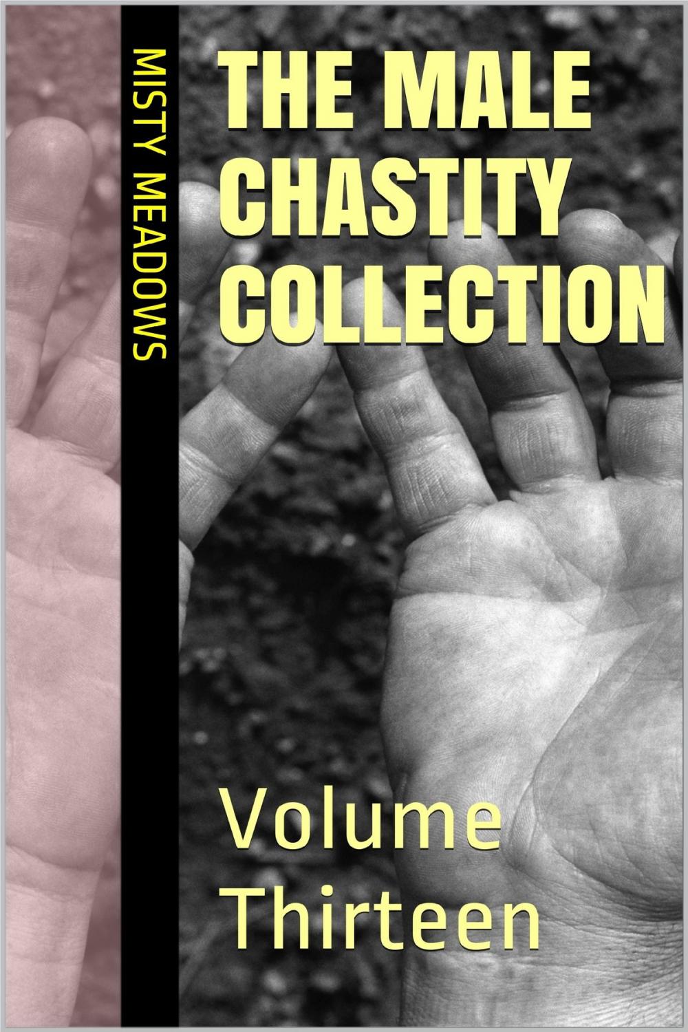 Big bigCover of The Male Chastity Collection: Volume Thirteen