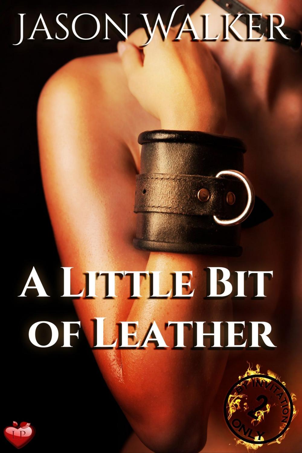 Big bigCover of A Little Bit of Leather