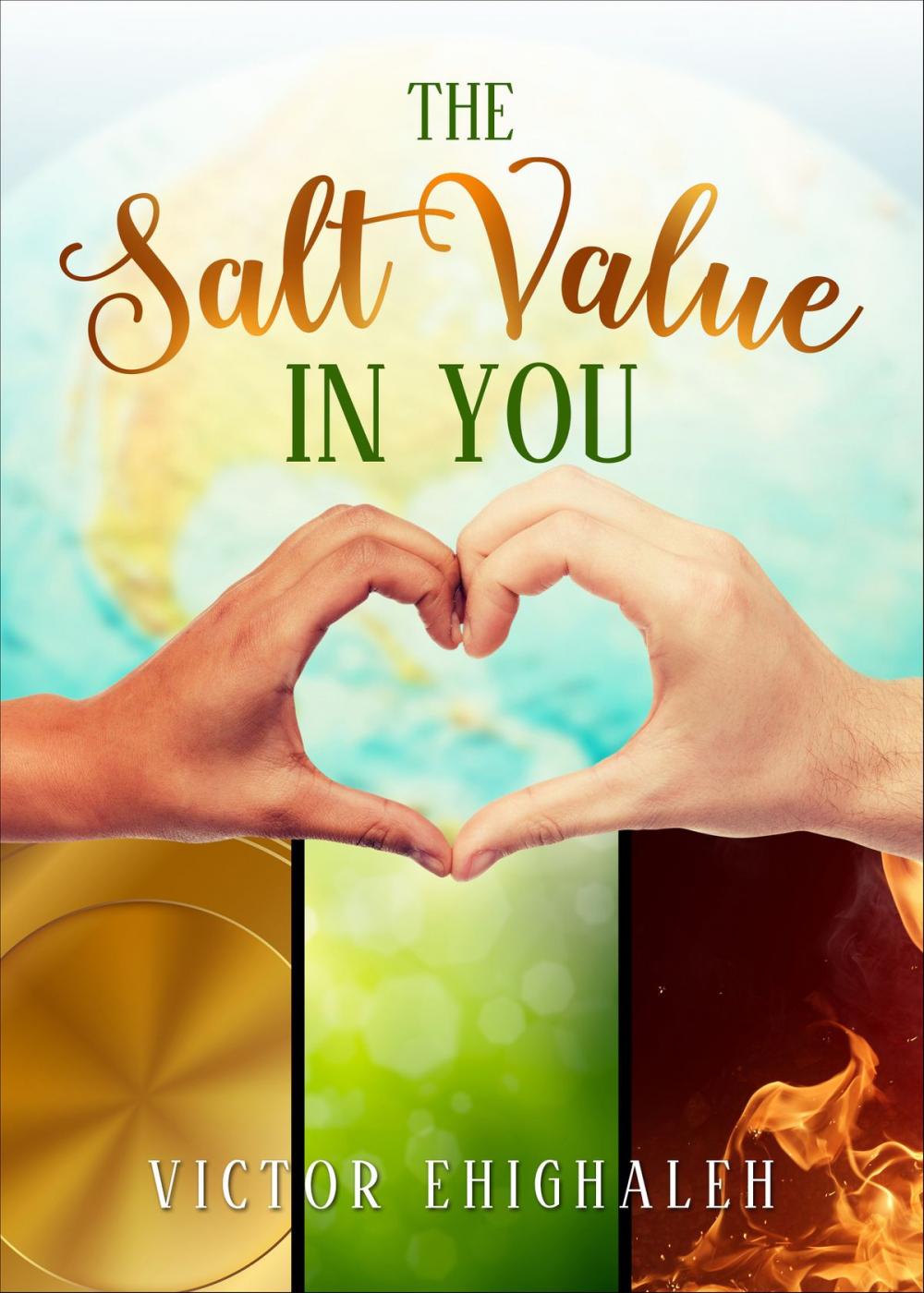 Big bigCover of The Salt Value in You