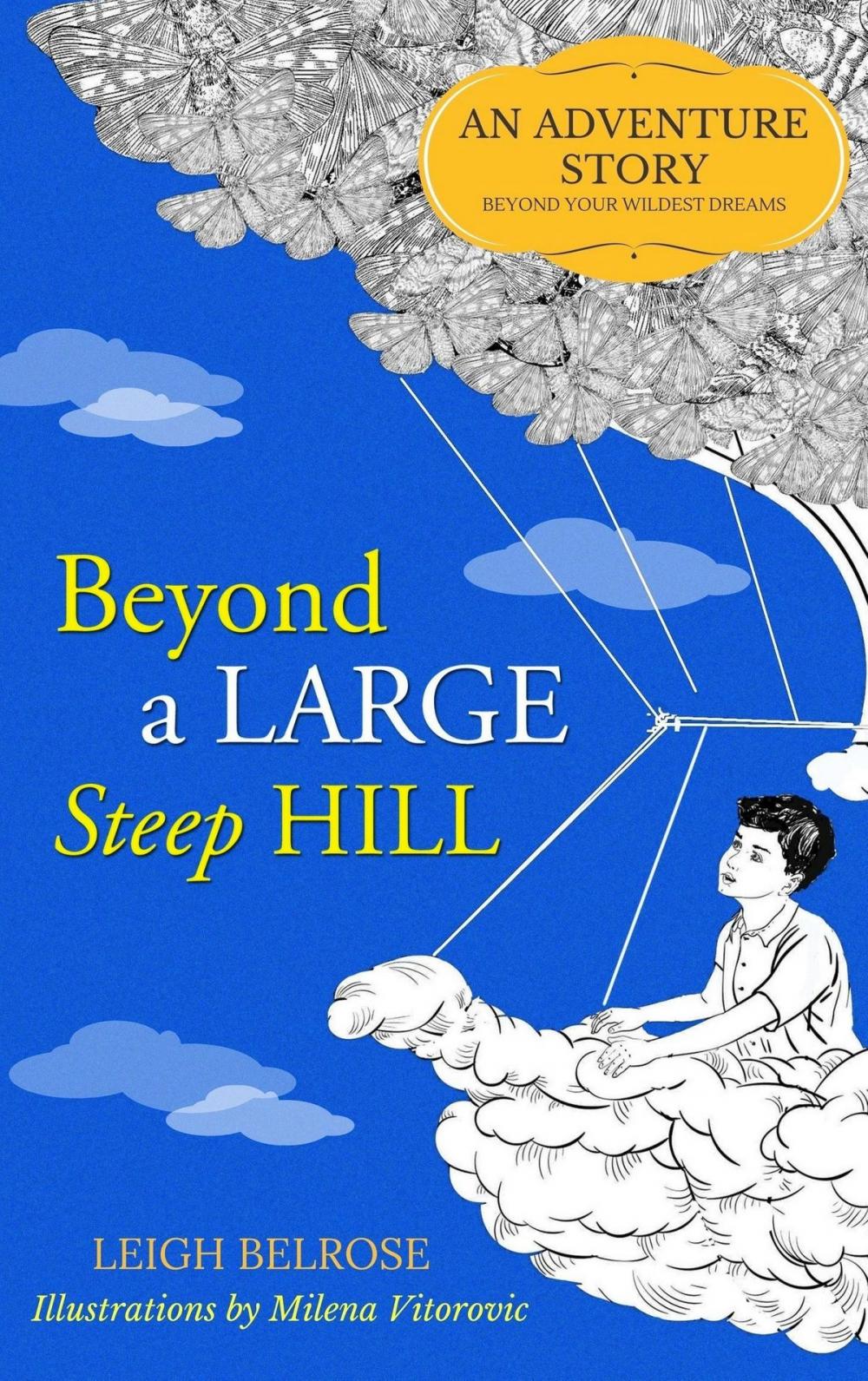 Big bigCover of Beyond a Large Steep Hill