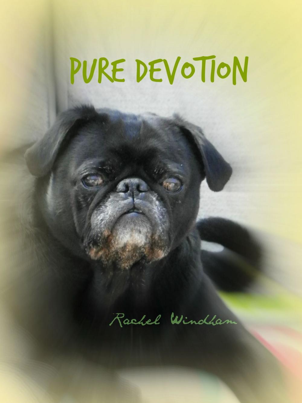 Big bigCover of Pure Devotion