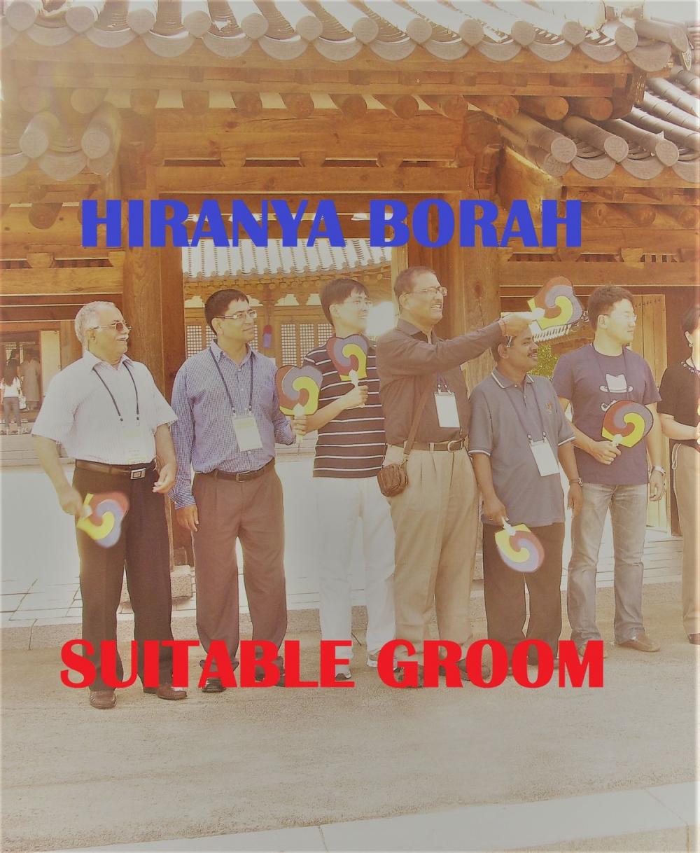 Big bigCover of Suitable Groom