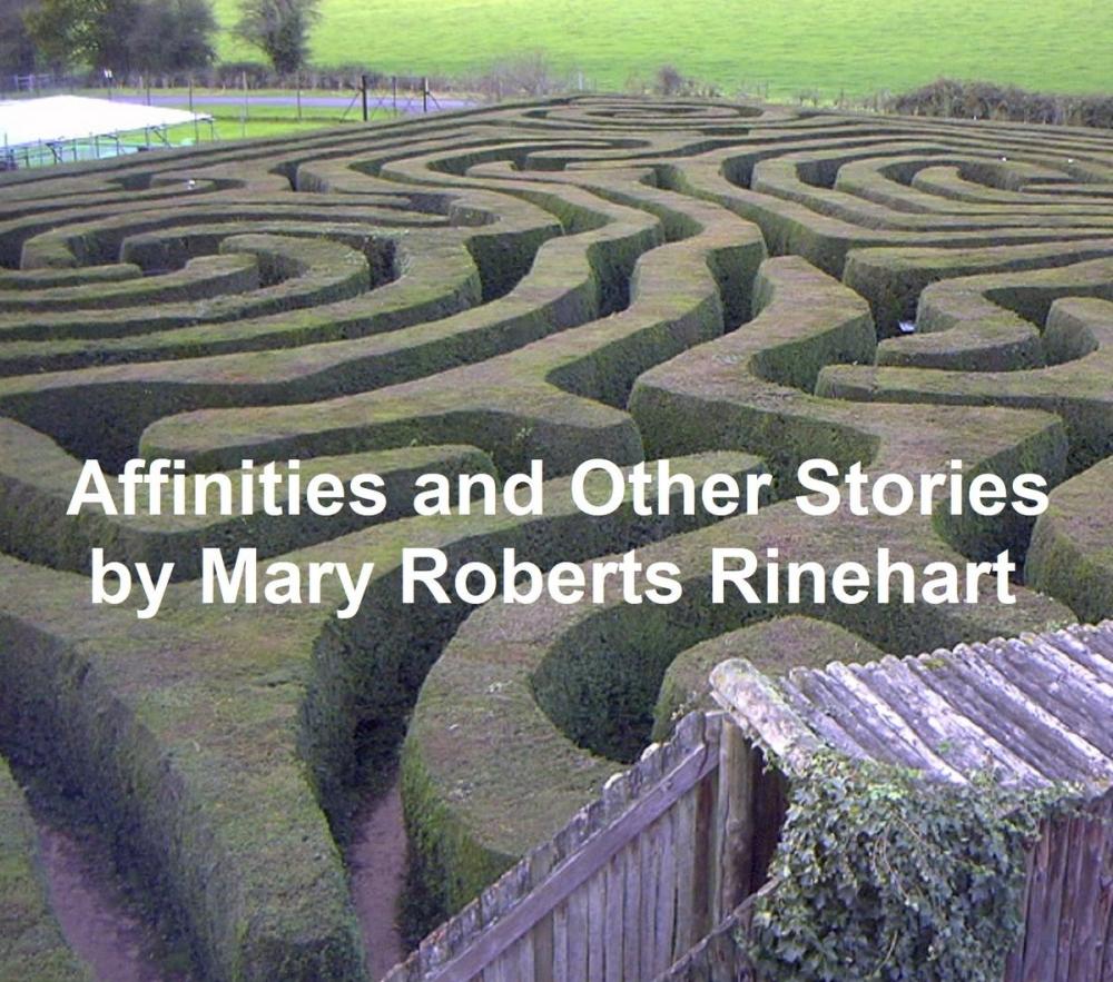 Big bigCover of Affinities and Other Stories