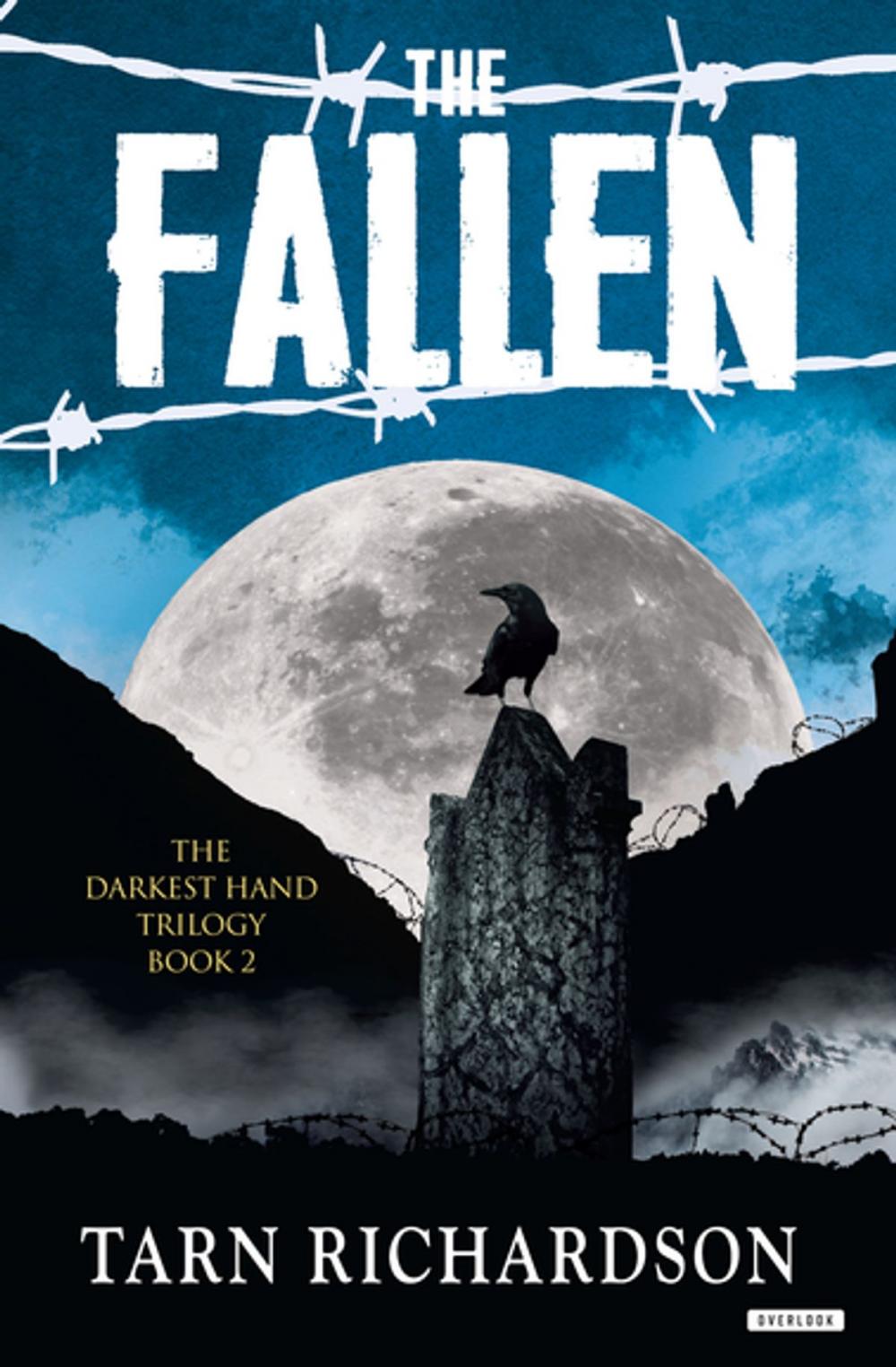 Big bigCover of The Fallen
