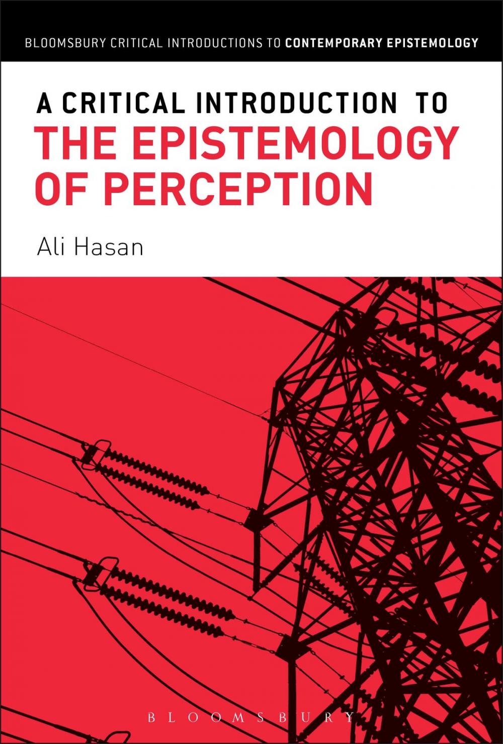Big bigCover of A Critical Introduction to the Epistemology of Perception