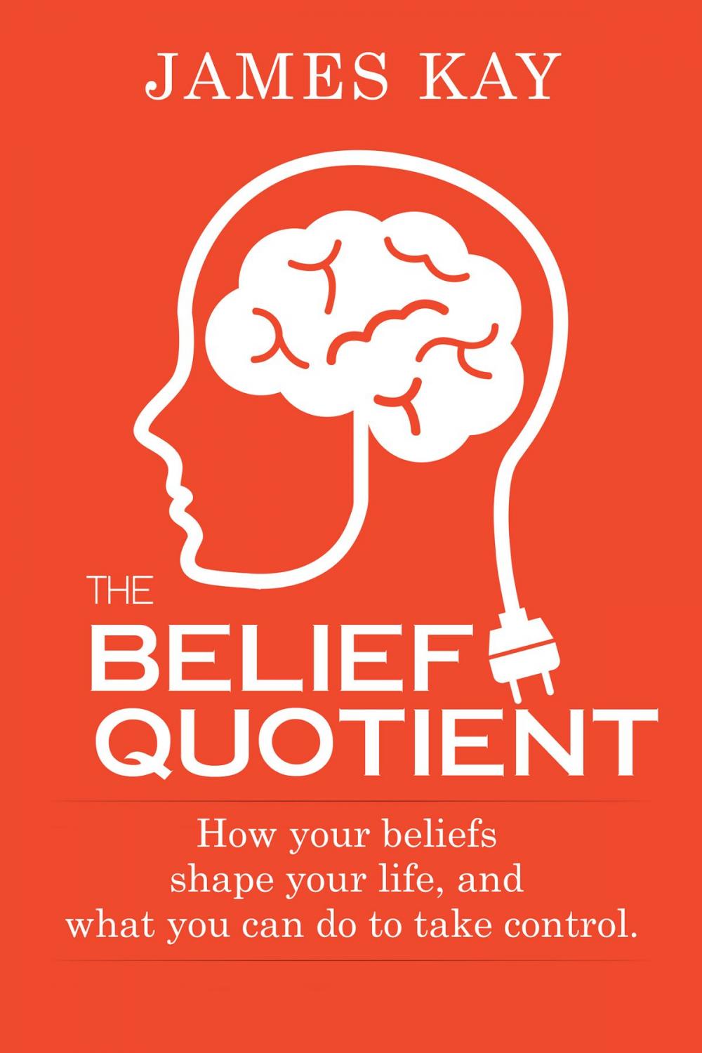 Big bigCover of The Belief Quotient