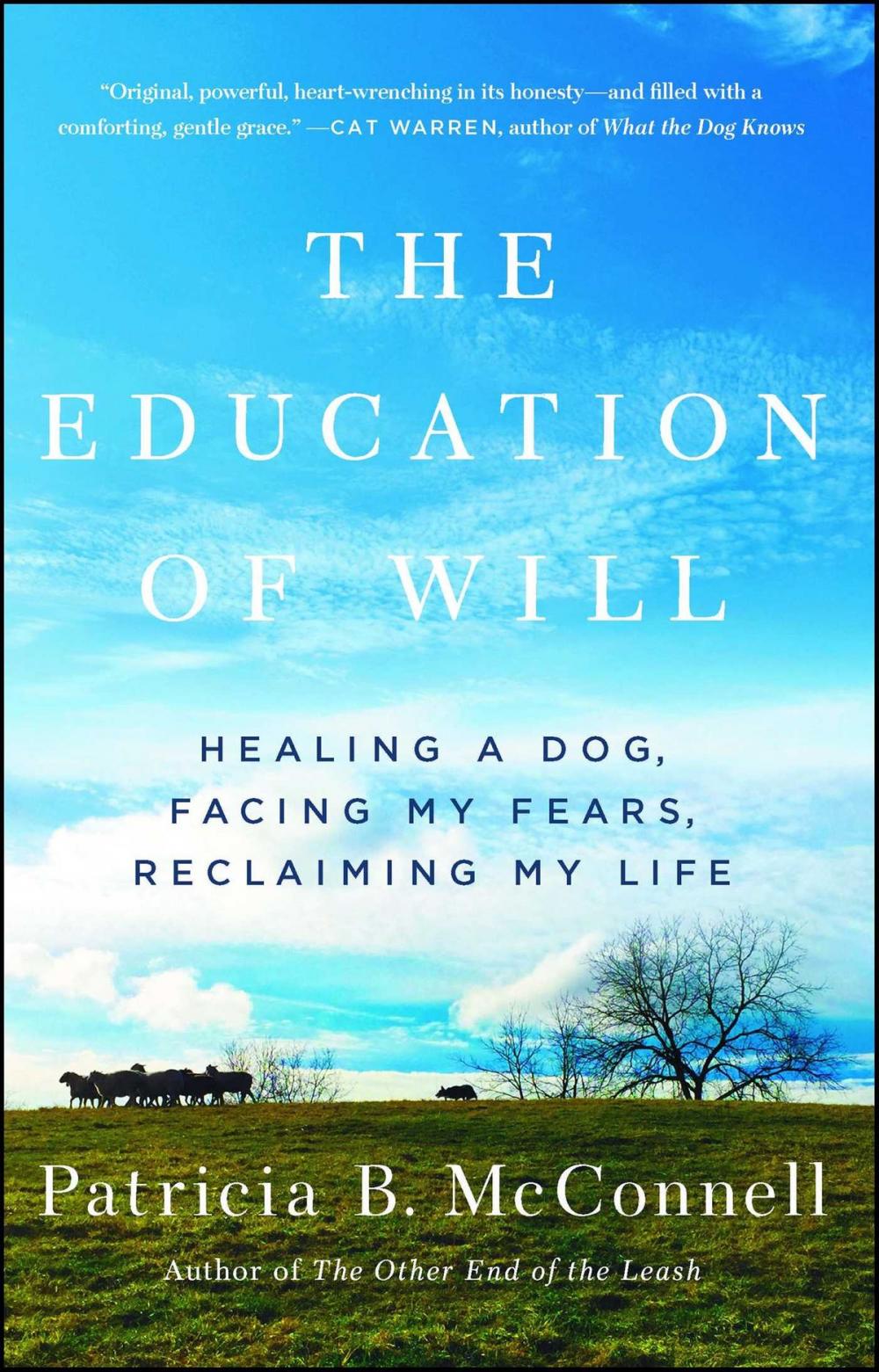 Big bigCover of The Education of Will