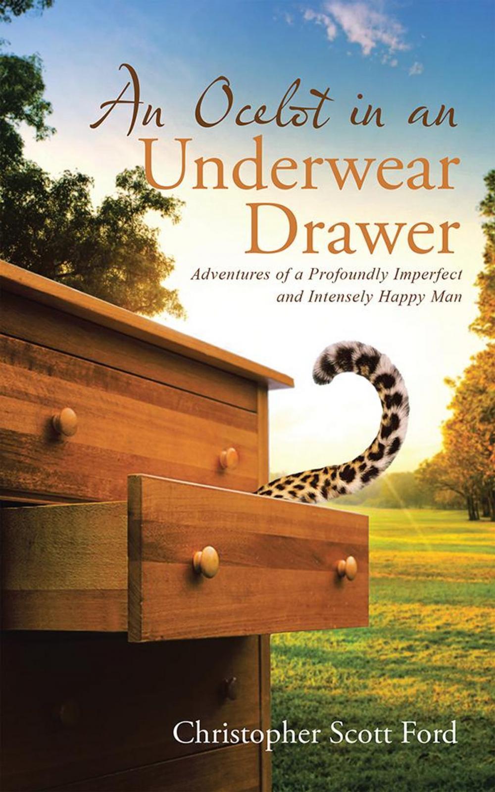 Big bigCover of An Ocelot in an Underwear Drawer