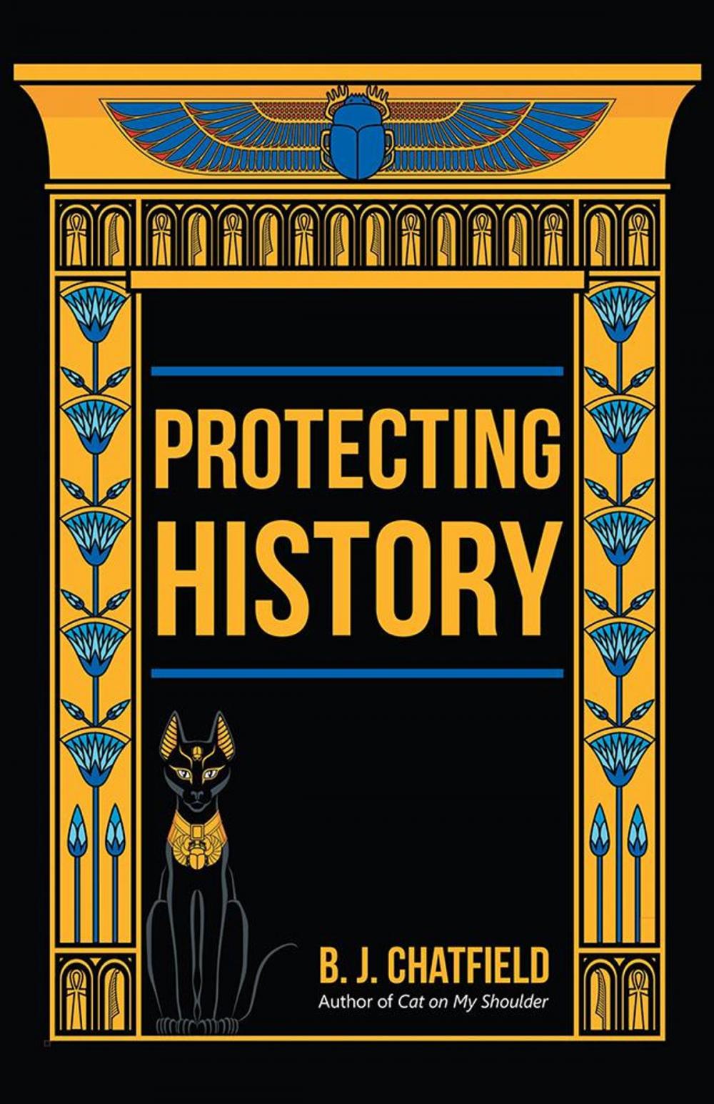 Big bigCover of Protecting History