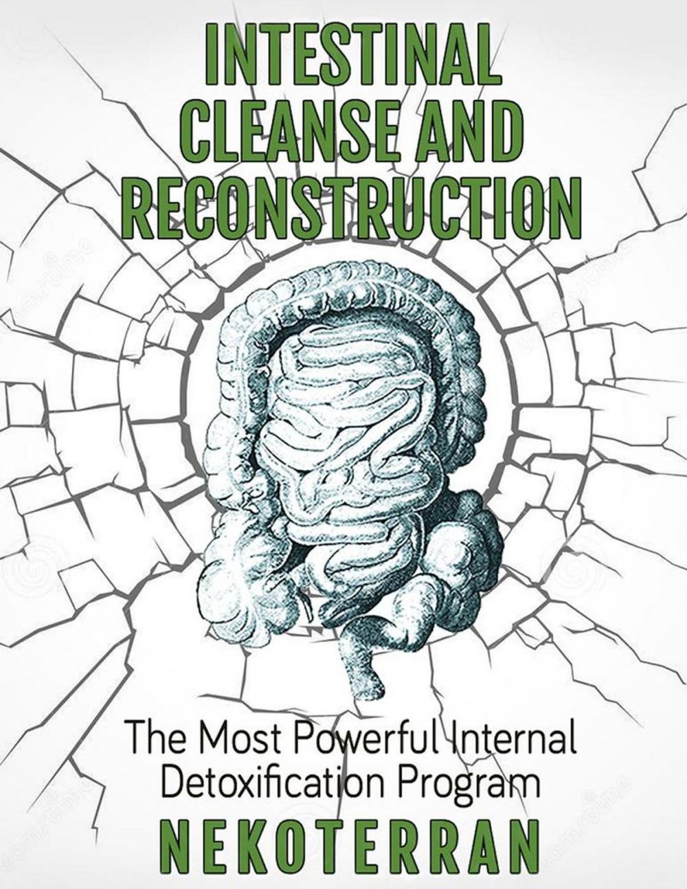 Big bigCover of Intestinal Cleanse and Reconstruction - The Most Powerful Internal Detoxification Program