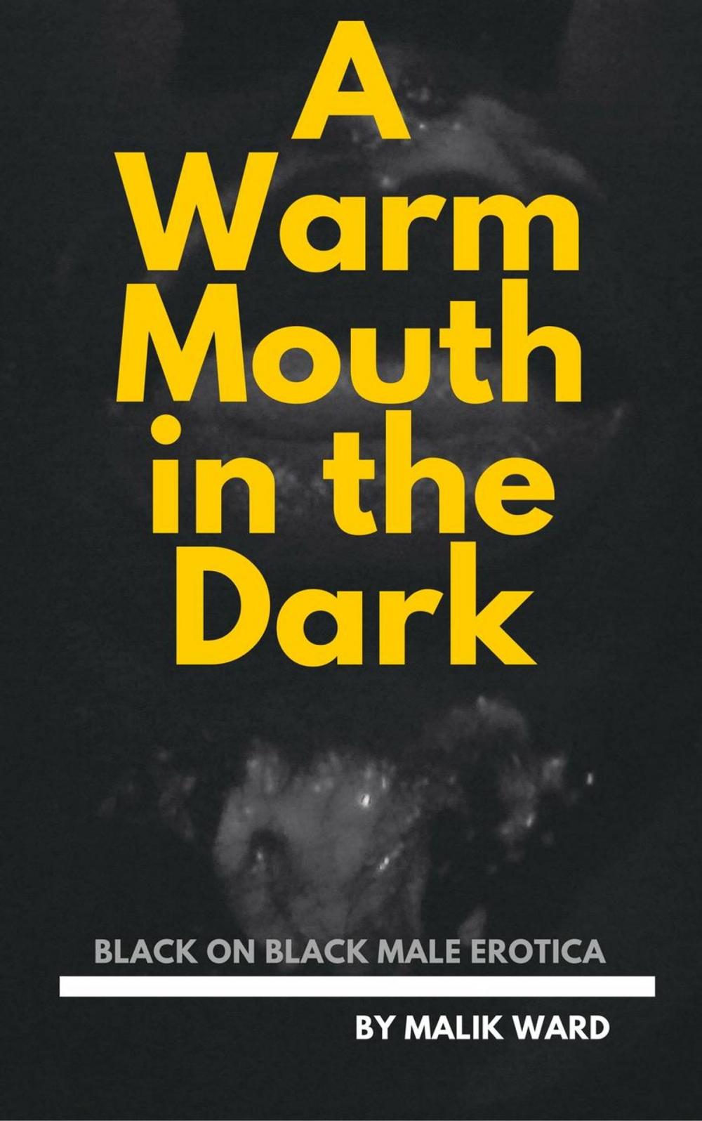 Big bigCover of A Warm Mouth in the Dark