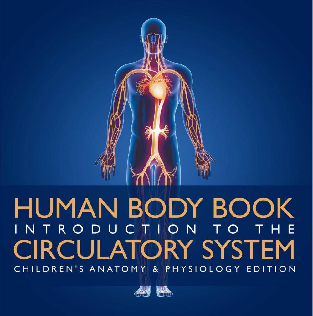 Big bigCover of Human Body Book | Introduction to the Circulatory System | Children's Anatomy & Physiology Edition