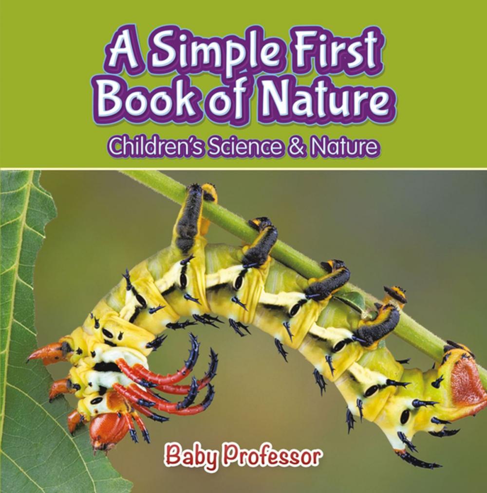 Big bigCover of A Simple First Book of Nature - Children's Science & Nature