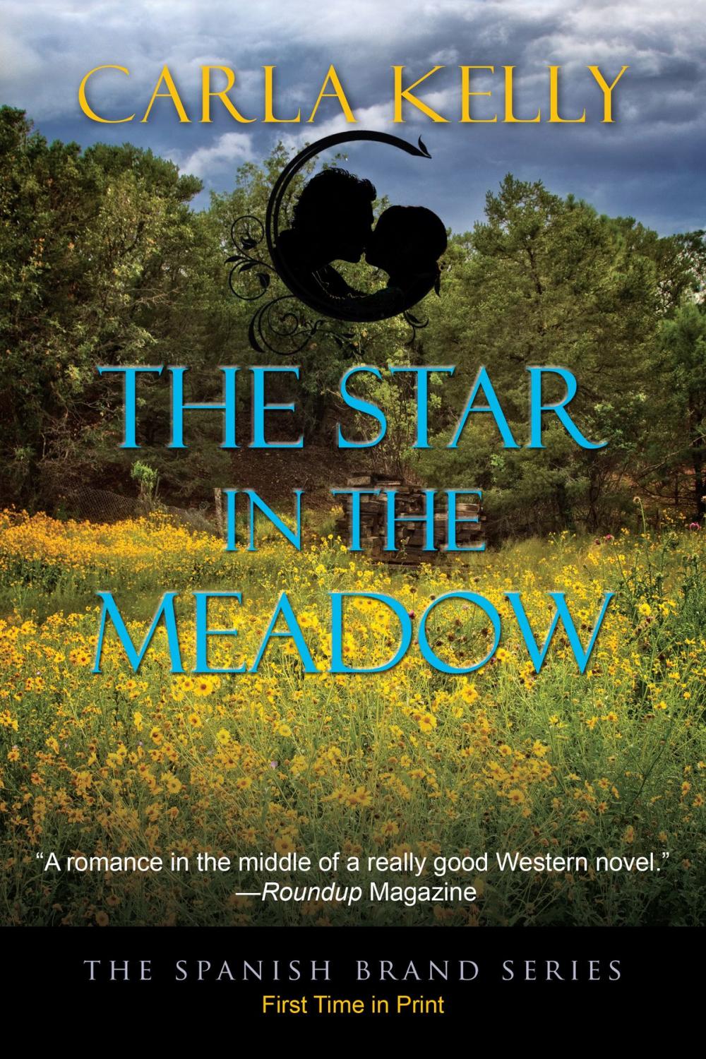 Big bigCover of The Star in the Meadow