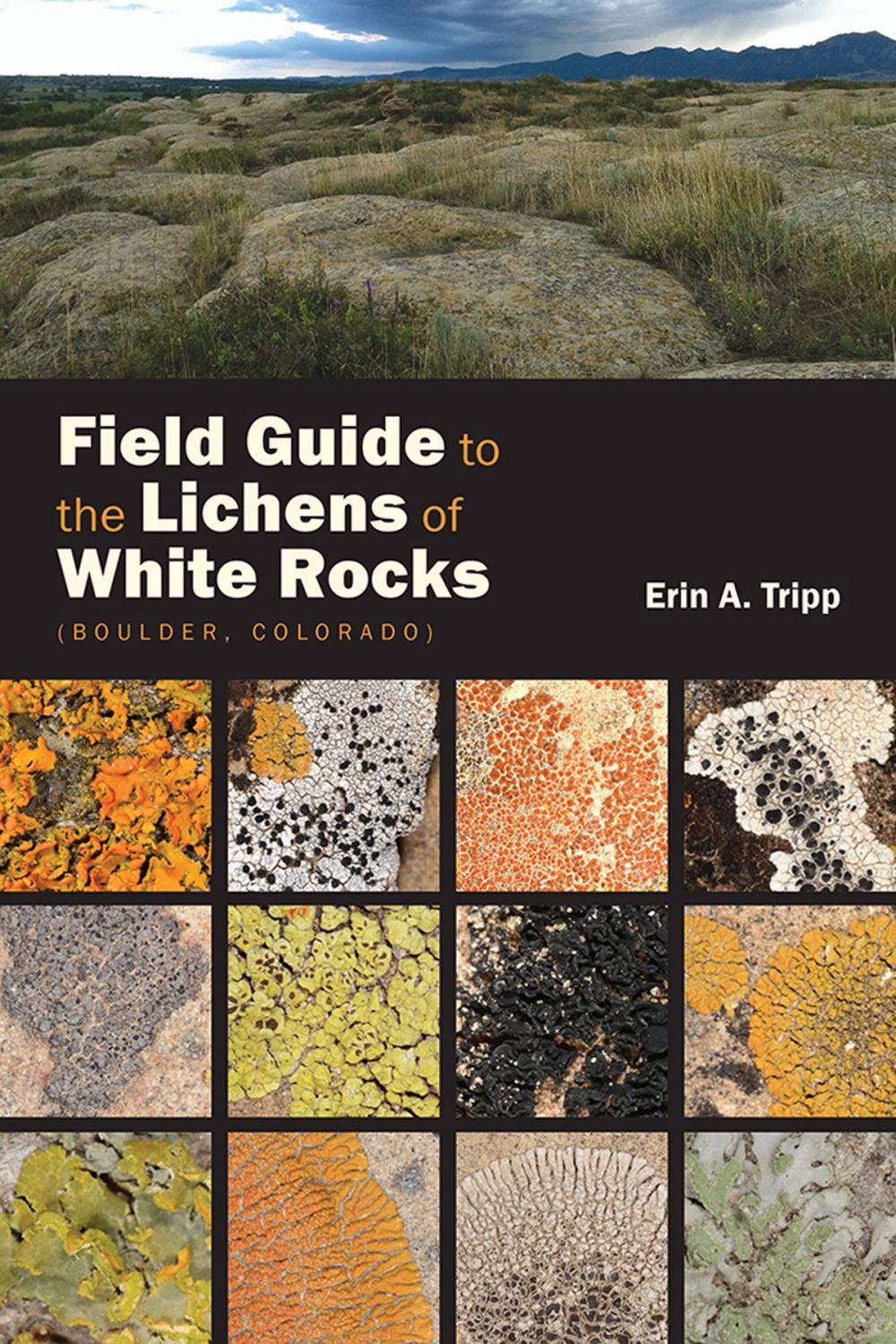 Big bigCover of Field Guide to the Lichens of White Rocks