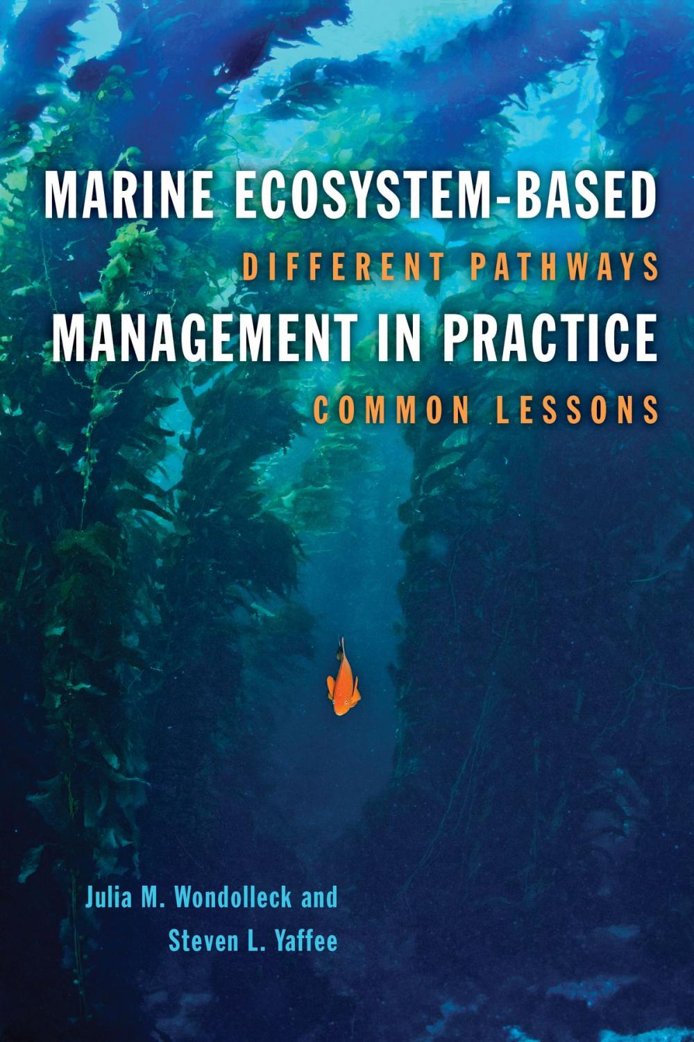 Big bigCover of Marine Ecosystem-Based Managemin Practice