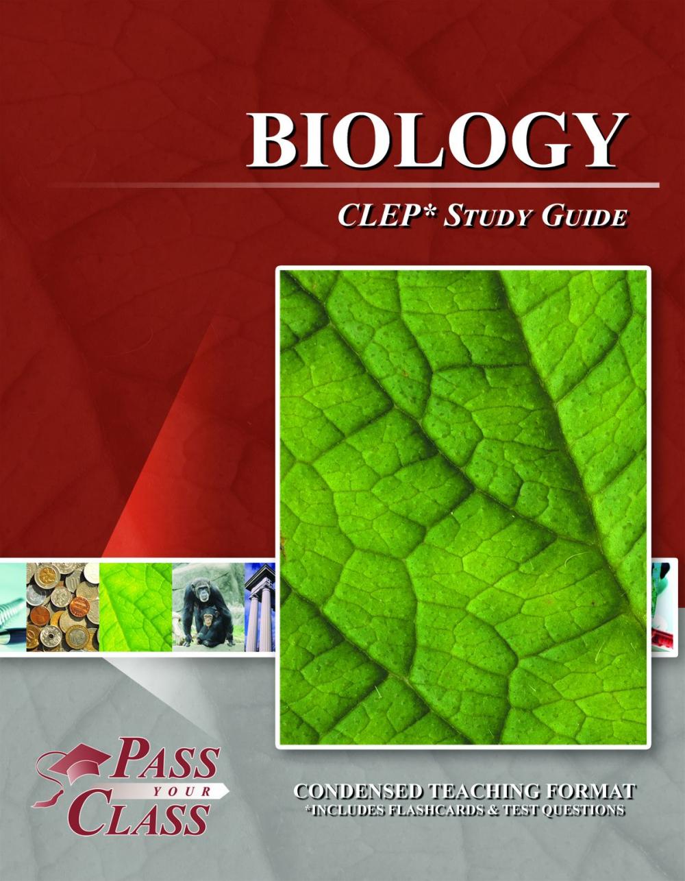 Big bigCover of CLEP Biology Test Study Guide