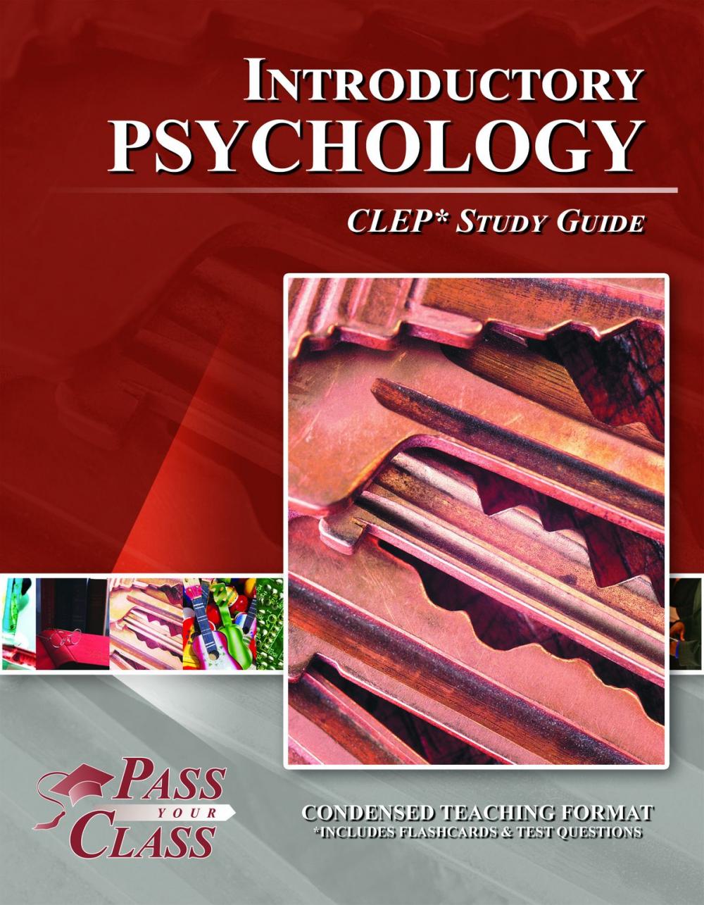 Big bigCover of CLEP Introductory Psychology Test Study Guide
