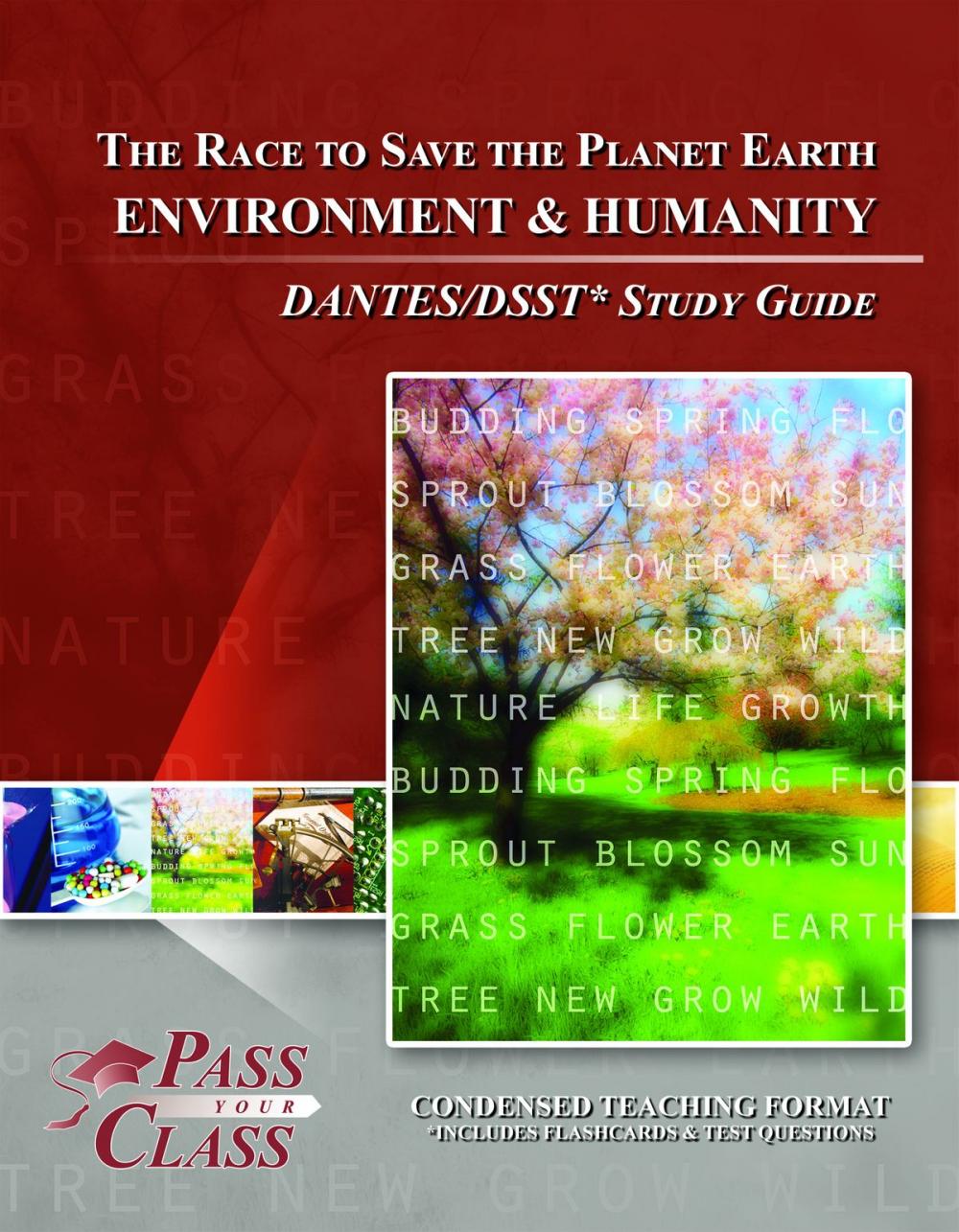 Big bigCover of DSST Environment and Humanity DANTES Test Study Guide