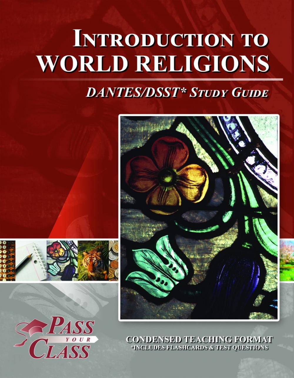 Big bigCover of DSST Introduction to World Religions DANTES Test Study Guide