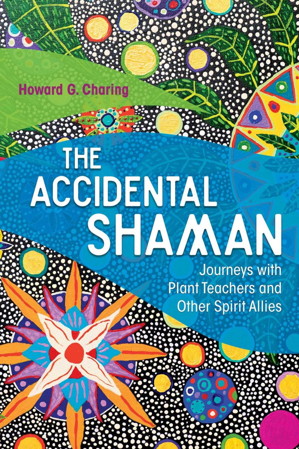 Big bigCover of The Accidental Shaman