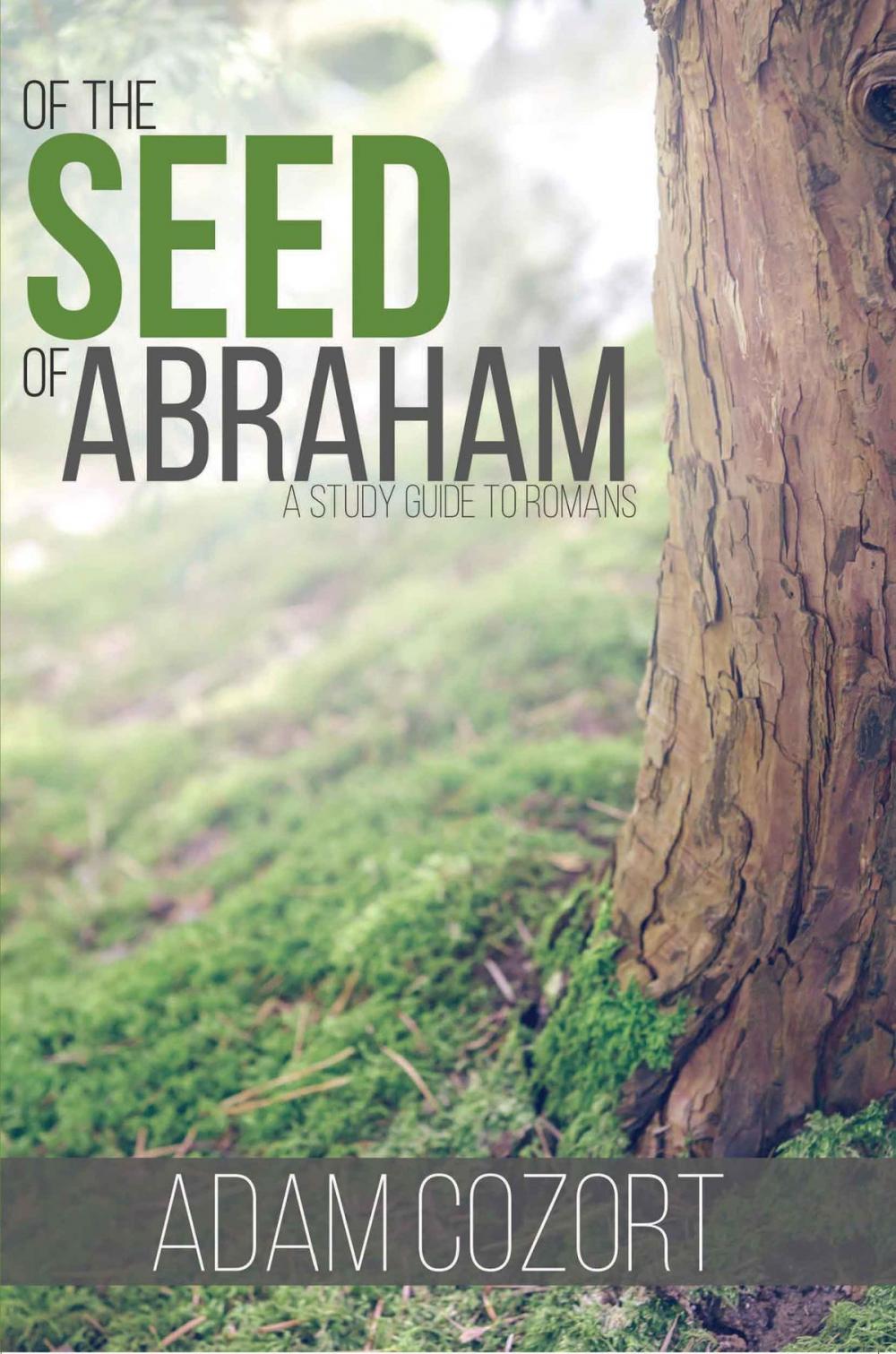 Big bigCover of Of The Seed Of Abraham