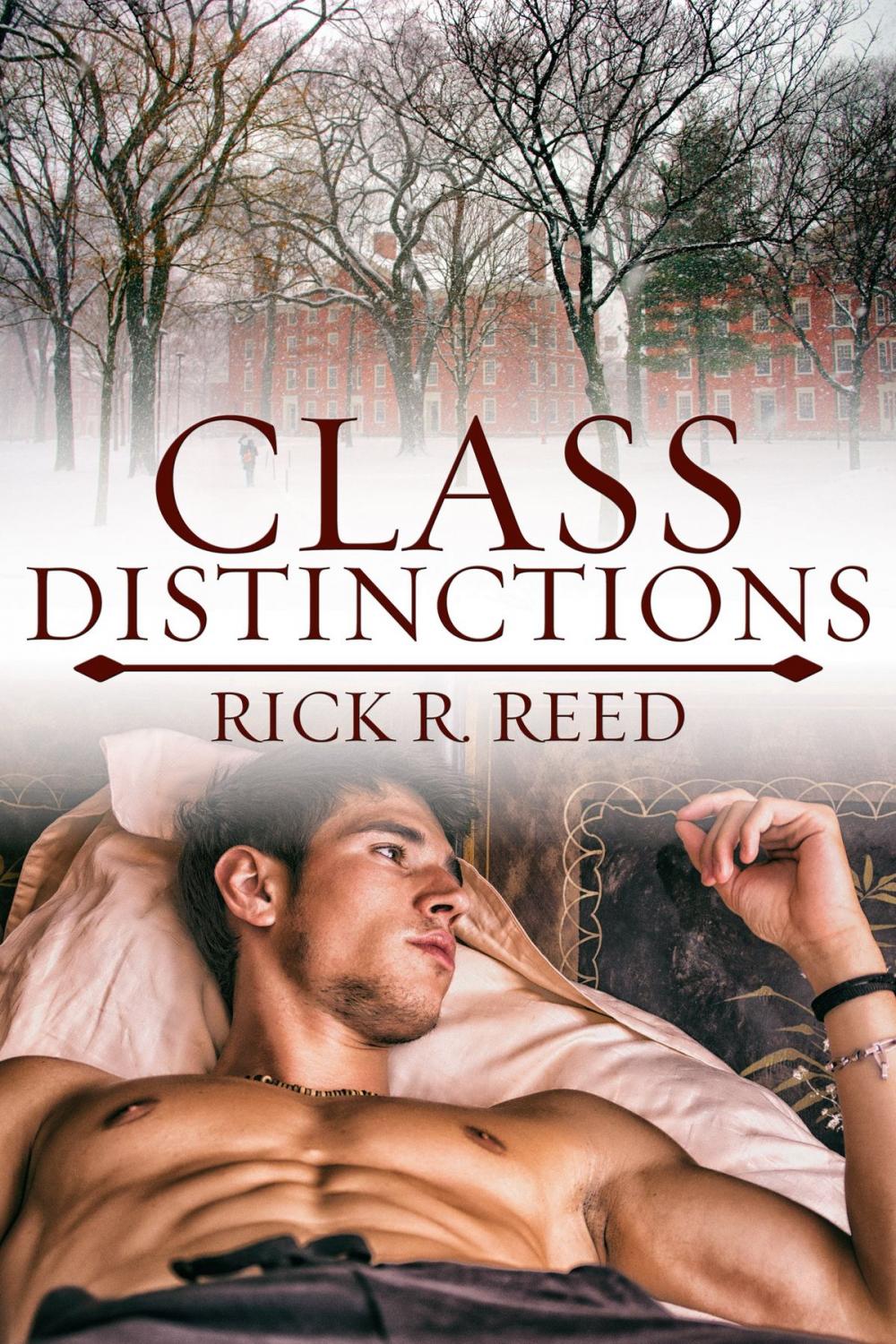 Big bigCover of Class Distinctions