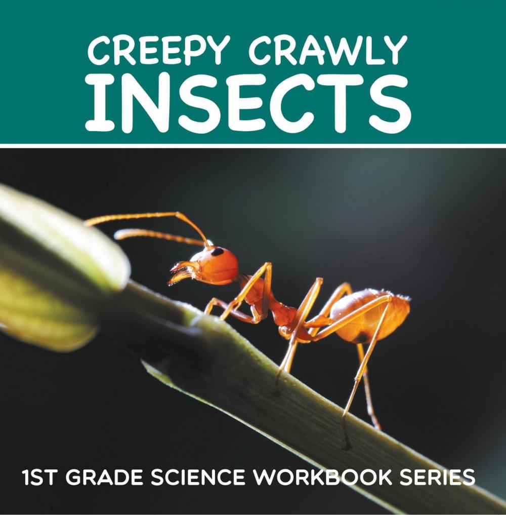 Big bigCover of Creepy Crawly Insects : 1st Grade Science Workbook Series