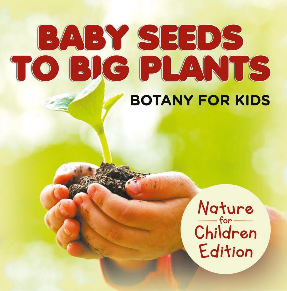 Big bigCover of Baby Seeds To Big Plants: Botany for Kids | Nature for Children Edition