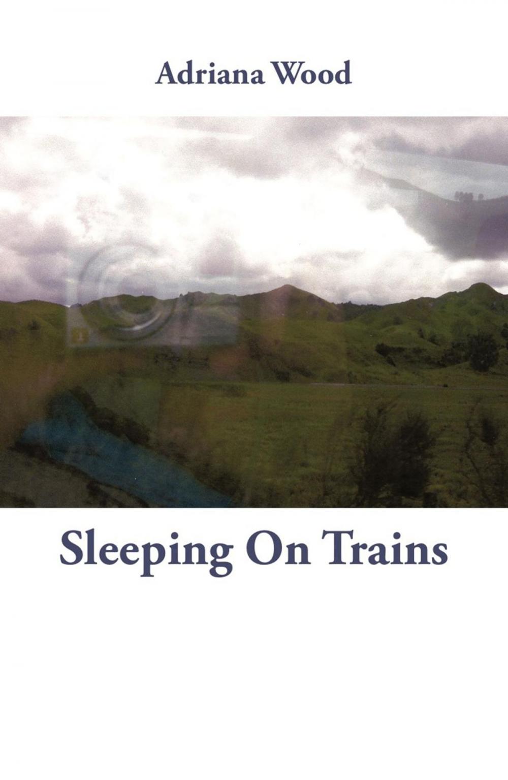 Big bigCover of Sleeping on Trains
