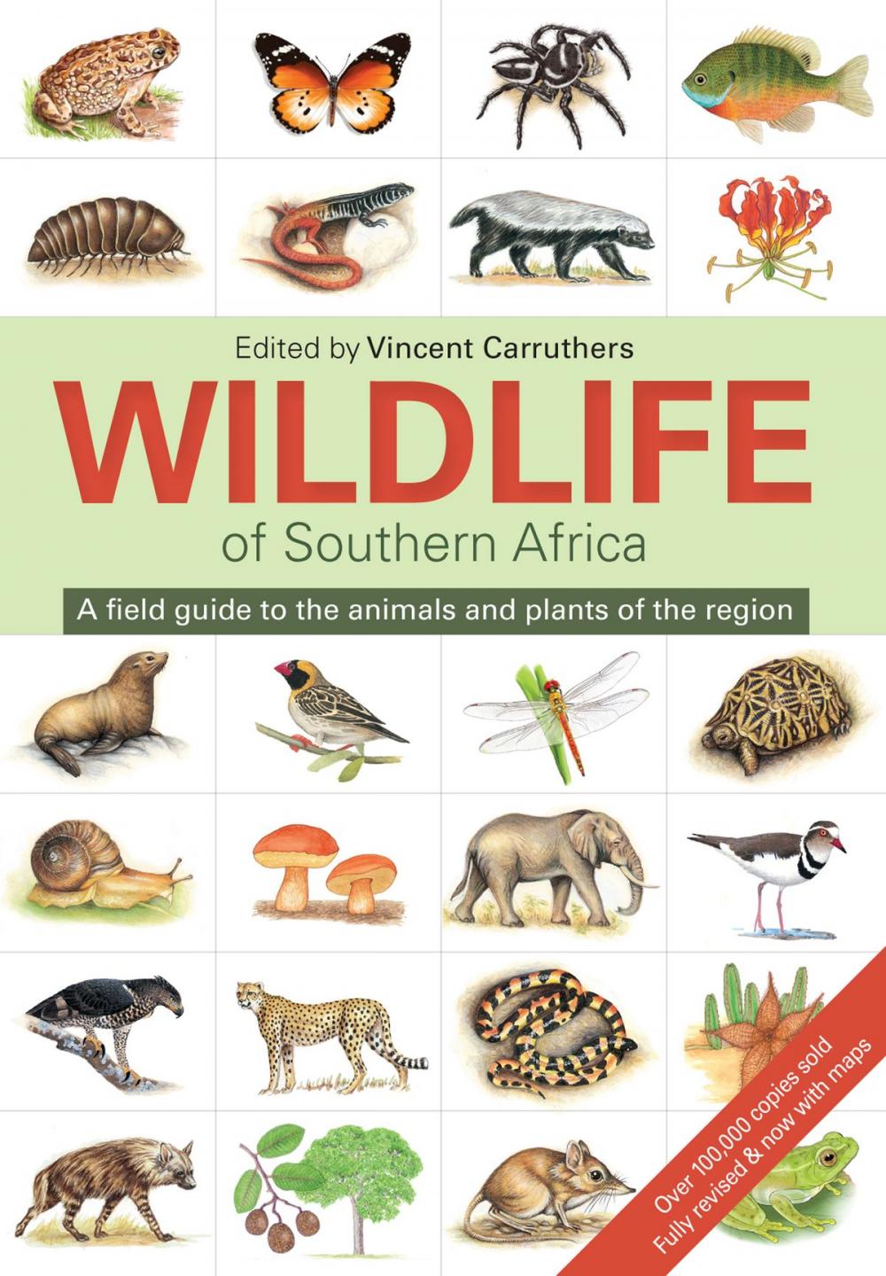 Big bigCover of The Wildlife of Southern Africa