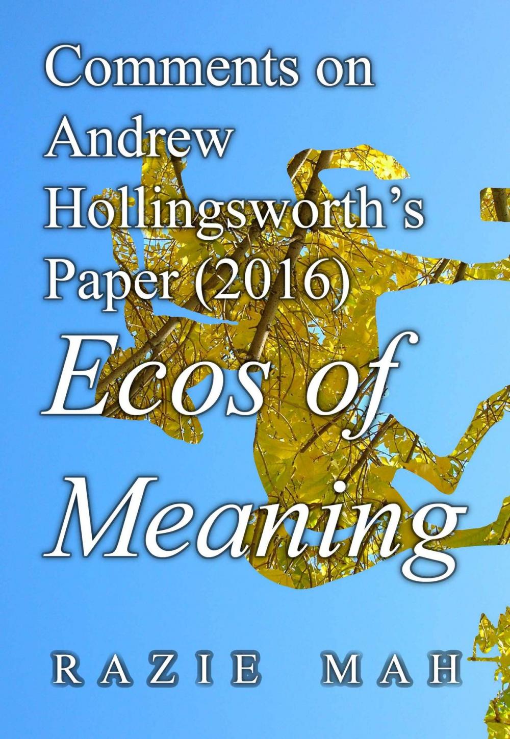 Big bigCover of Comments on Andrew Hollingsworth’s Paper (2016) Ecos of Meaning