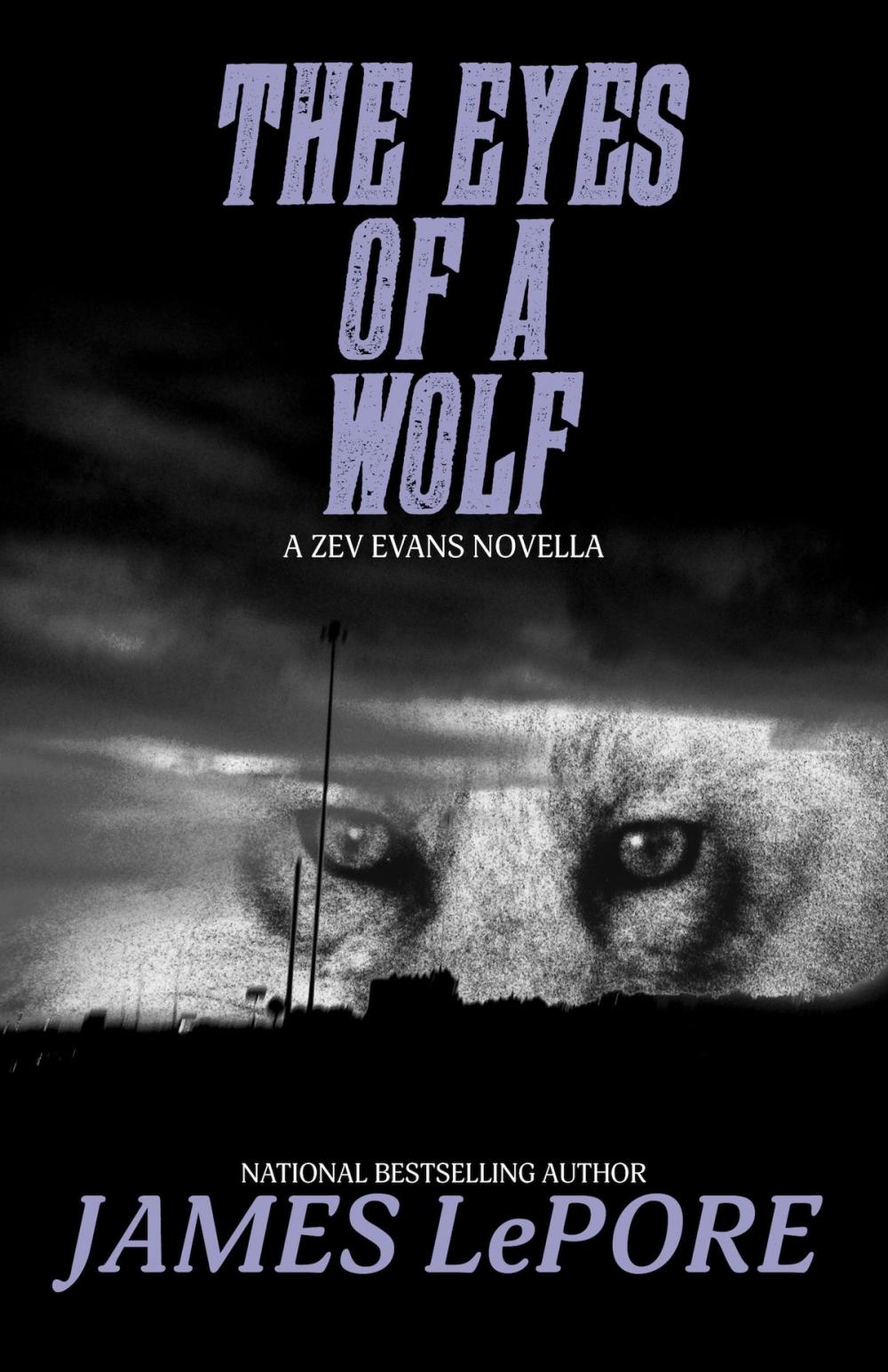 Big bigCover of The Eyes of a Wolf