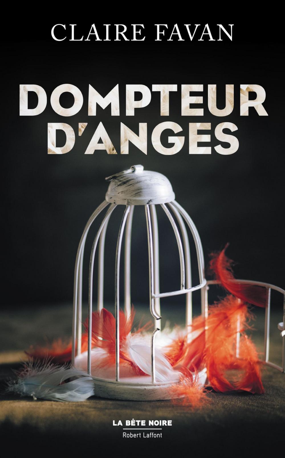 Big bigCover of Dompteur d'anges