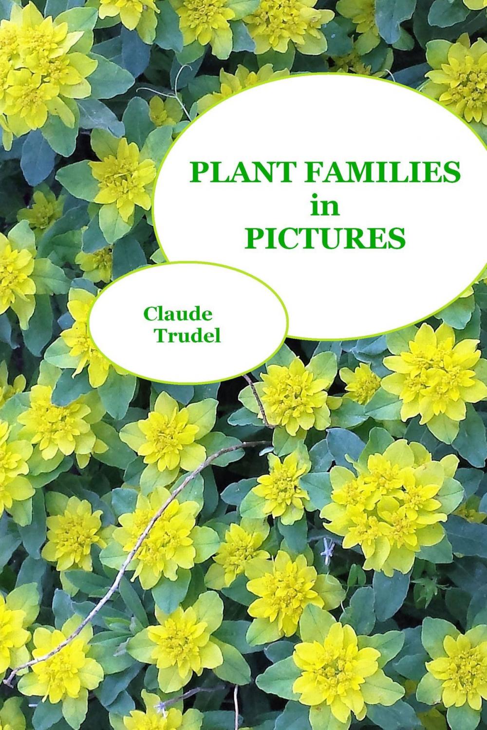 Big bigCover of Plant Families in Pictures