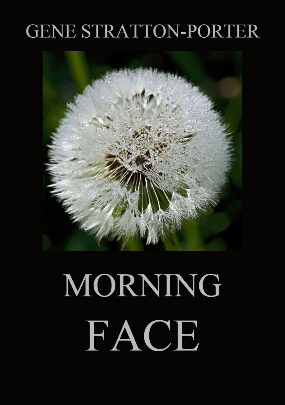 Big bigCover of Morning Face
