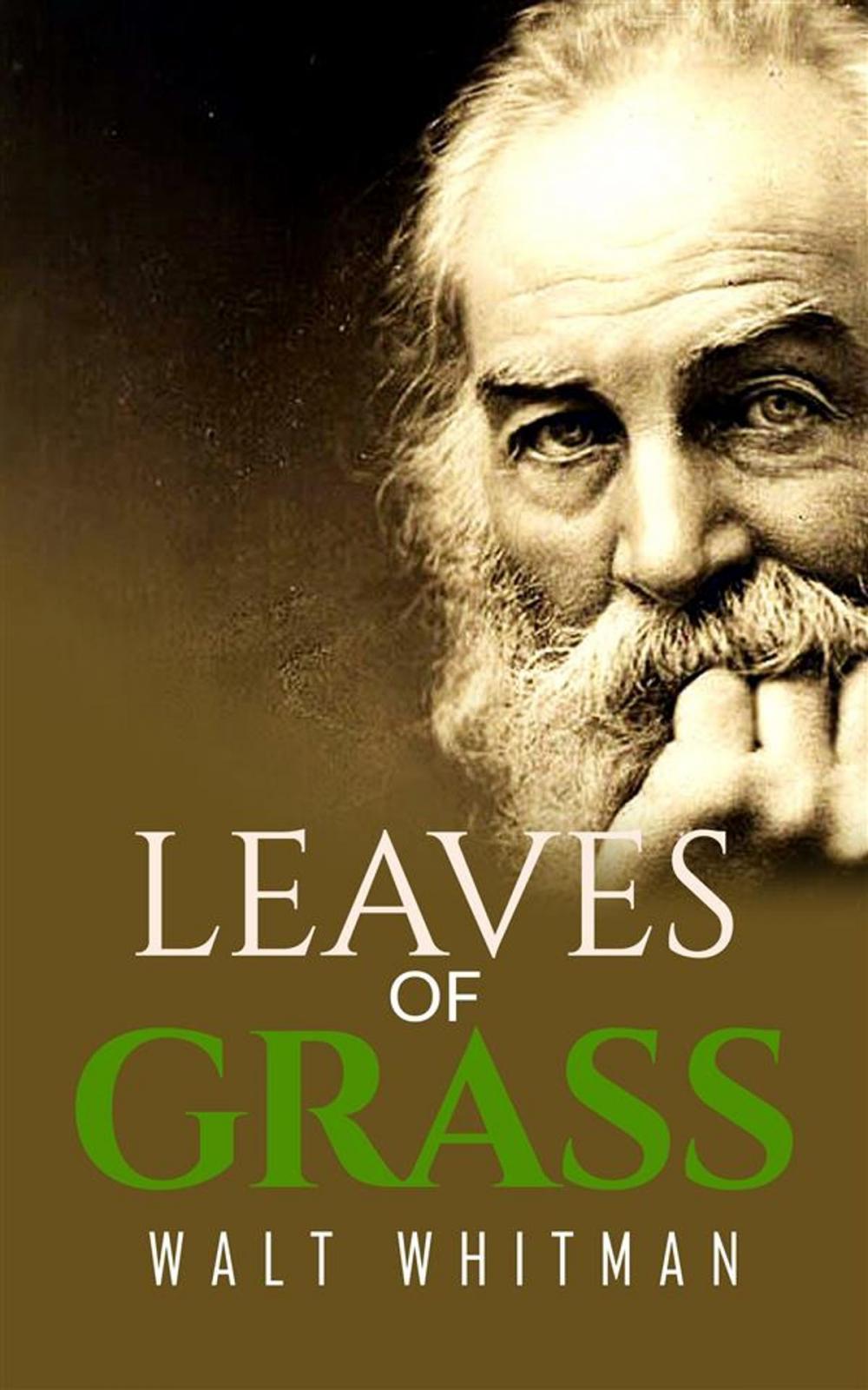 Big bigCover of Leaves of Grass