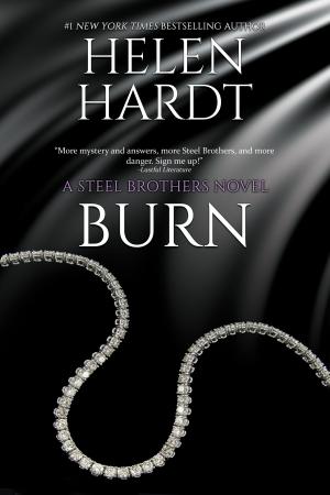 Cover of the book Burn by Sierra Simone, Victoria Blue, Elizabeth Hayley, Shayla Black