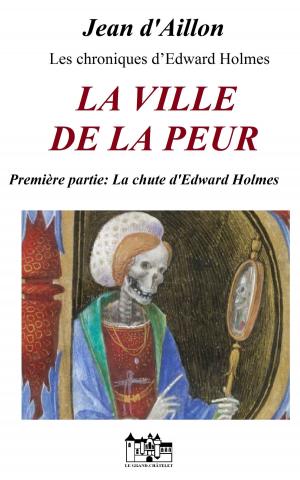 Cover of the book LA VILLE DE LA PEUR by Brandy Vallance