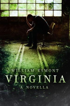 Cover of the book Virginia by Alma Alexander
