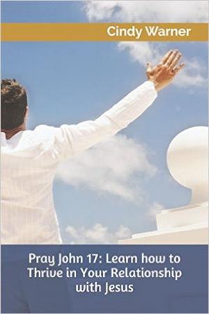 bigCover of the book Pray John 17: Learn how to Thrive in Your Relationship with Jesus by 