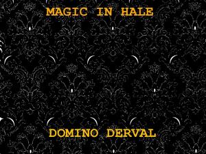 Cover of the book MAGIC IN HALE by Domino Derval